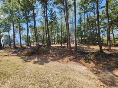 Lake Lot For Sale in Brookeland, Texas