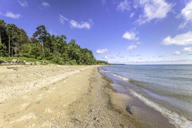 Custom Home on 124.6 FT of Lake Huron Shoreline. The Tree-lined - photo 6