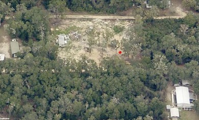 Lake Ocklawaha Lot For Sale in Fort Mccoy Florida