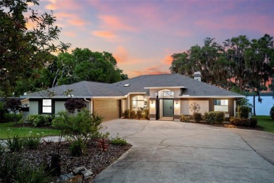 Lake Tarpon Home For Sale in Tarpon Springs Florida