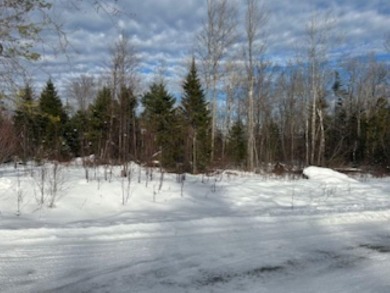 Lake Acreage For Sale in Monson, Maine