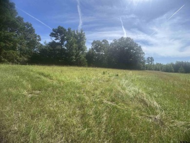 9.695 Acres Backing Up to a Creek - Ideal for Your Hobby Farm! - Lake Acreage For Sale in Winnsboro, Texas