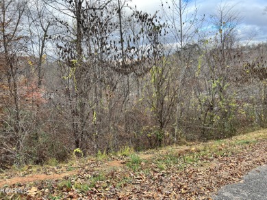 Norris Lake Lot For Sale in Lafollette Tennessee