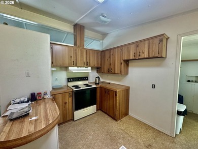 Welcome home to this 3 bedroom, 2 bathroom double-wide - photo 7