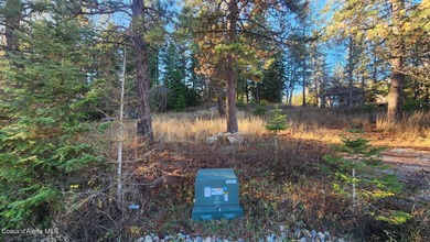 Coeur d Alene Lake Lot For Sale in Coeur d Alene Idaho