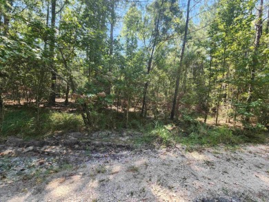 Lake Sam Rayburn  Lot For Sale in Brookeland Texas