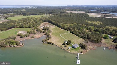 (private lake, pond, coastal) Home For Sale in Cambridge Maryland