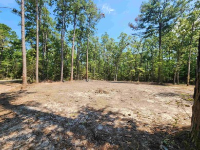 Lake Lot For Sale in Brookeland, Texas