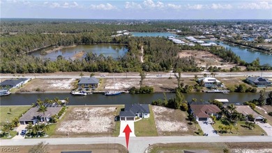 NEW CONSTRUCTION | GULF ACCESS | Enjoy true Southwest Florida - photo 5