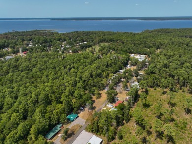 Lake Sam Rayburn  Home For Sale in Zavalla Texas