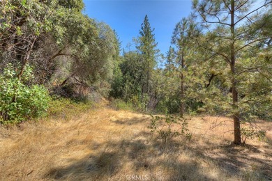 Oroville Lake Acreage For Sale in Berry Creek California