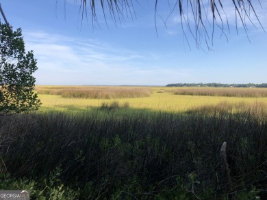 Rare Private Island Opportunity in Sanctuary Cove - Hogans - photo 1