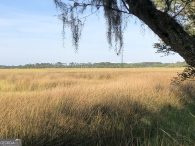 Rare Private Island Opportunity in Sanctuary Cove - Hogans - photo 7