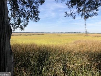 Rare Private Island Opportunity in Sanctuary Cove - Hogans - photo 8