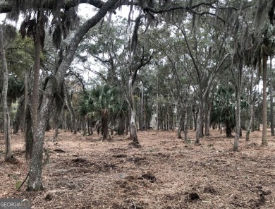 Rare Private Island Opportunity in Sanctuary Cove - Hogans - photo 10