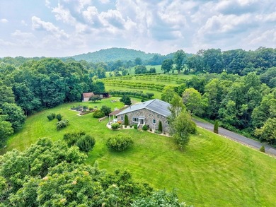 PRIVATE, GATED BLUE RIDGE MOUNTAIN ESTATE on 15.5 unrestricted - photo 12