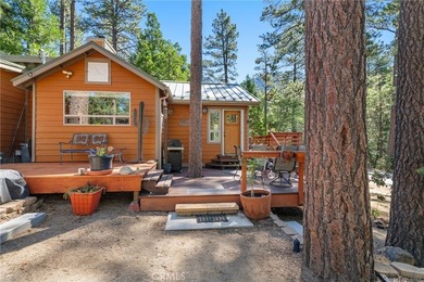 Experience the authentic soul of Idyllwild in this beautifully - photo 14