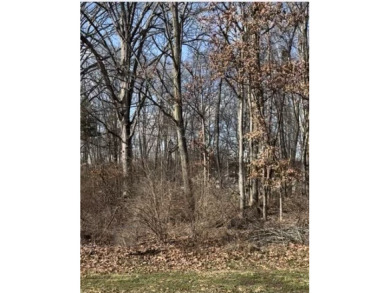 Heritage Lake Lot For Sale in Coatesville Indiana