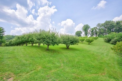 PRIVATE, GATED BLUE RIDGE MOUNTAIN ESTATE on 15.5 unrestricted - photo 50