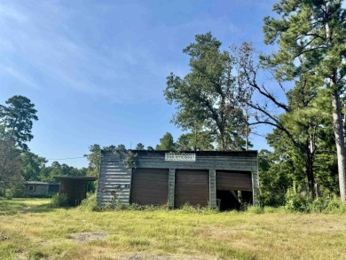 Lake Sam Rayburn  Acreage For Sale in Broaddus Texas