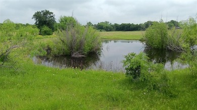 (private lake, pond, creek) Acreage For Sale in Chilton Texas