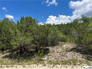 Lake Lot For Sale in Spring Branch, Texas