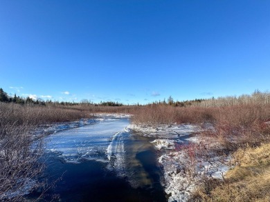 Lake Acreage For Sale in Woodland, Maine