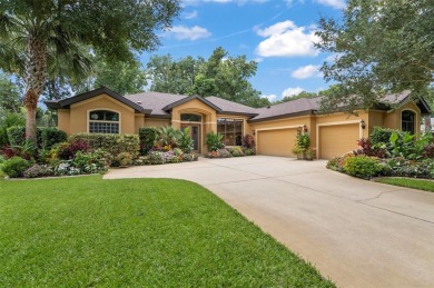 (private lake, pond, creek) Home For Sale in Palm Coast Florida