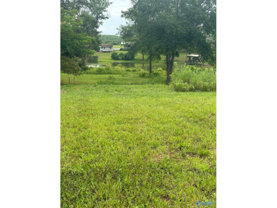 Build Your Dream Home on Beautiful Weiss Lake! Don't miss this - photo 1
