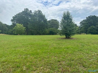 Build Your Dream Home on Beautiful Weiss Lake! Don't miss this - photo 2