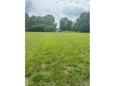 Build Your Dream Home on Beautiful Weiss Lake! Don't miss this - photo 4