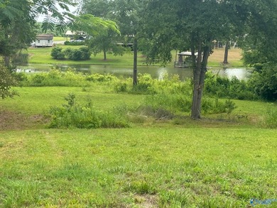 Build Your Dream Home on Beautiful Weiss Lake! Don't miss this - photo 8