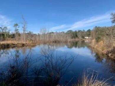 Lake Seminole Acreage For Sale in Donalsonville Georgia