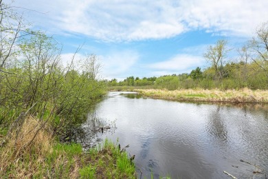 (private lake, pond, creek) Lot For Sale in Eagle River Wisconsin