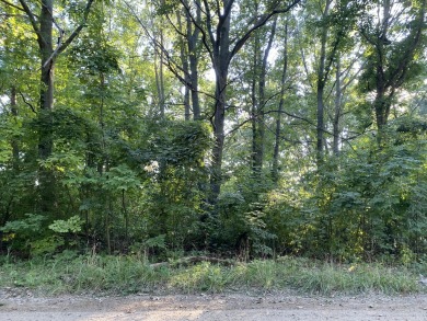 Seller said she is motivated!!!  Bring us an offer on this - Lake Lot For Sale in Bloomingdale, Michigan