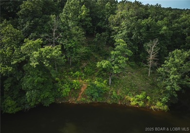 Introducing 25.5 +/- wooded acres with valuable lake frontage on - photo 12