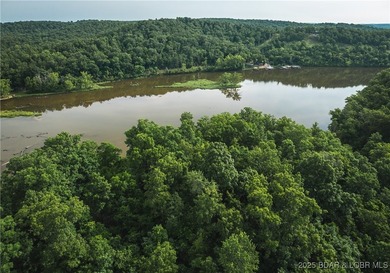 Introducing 25.5 +/- wooded acres with valuable lake frontage on - photo 14