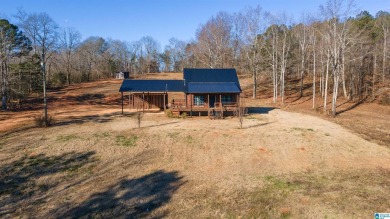 Lake Home For Sale in Lineville, Alabama