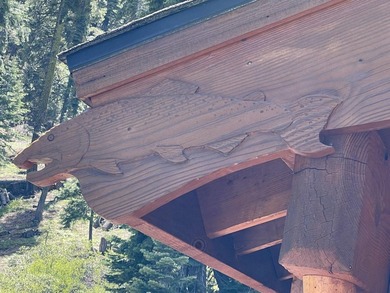 Backed by thousands of acres of pristine National Forest, this - photo 26