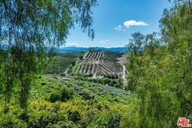 Prepared to be enchanted by the allure of The Green Acre Ranch! - photo 28