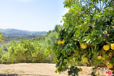 Prepared to be enchanted by the allure of The Green Acre Ranch! - photo 30
