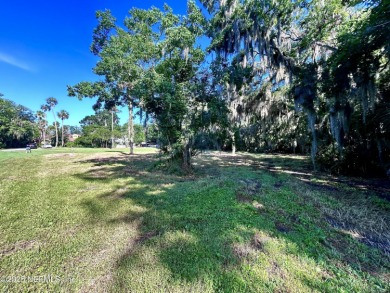 Rare opportunity to own over a half acre (.52 ac) in the Palm - photo 2