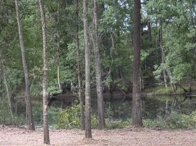 Lake Acreage For Sale in Shelbyville, Texas