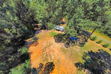 Lake Acreage For Sale in Hemphill, Texas