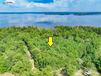 Lake Lot For Sale in Brookeland, Texas