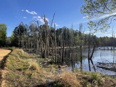 (private lake, pond, creek) Acreage For Sale in Windsor South Carolina