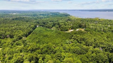 Lake Sam Rayburn  Acreage For Sale in Brookeland Texas