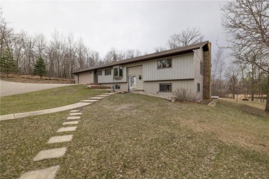 Lake Home For Sale in Nevis, Minnesota