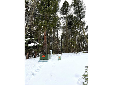 Additional listing photo 1