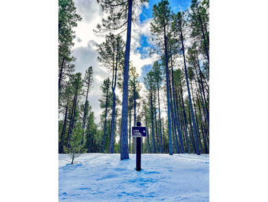 Additional listing photo 4